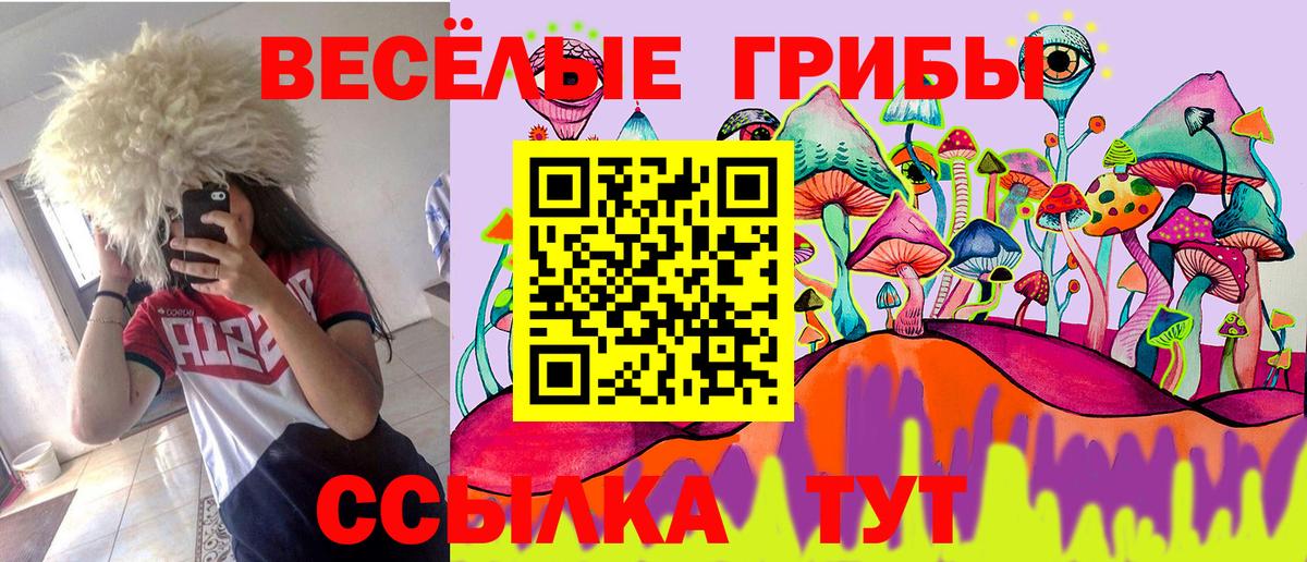 Галлюциногенные грибы GOLDEN TEACHER Хасавюрт