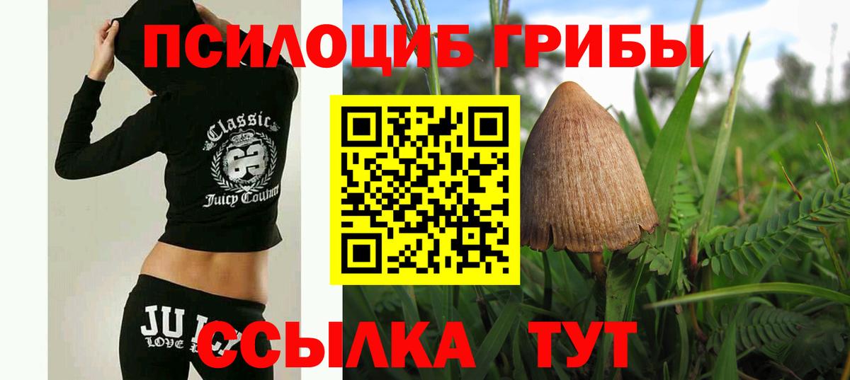 Хасавюрт  Псилоцибиновые грибы Cubensis  Галлюциногенные грибы Cubensis  Вход с VPN 